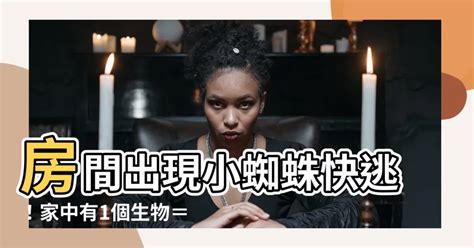 房間一直出現小蜘蛛